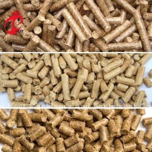 220V Flat Die Chicken Feed Pellet Machine 1000kg Per Hour Star