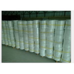 5kg/Spool 7500D 1200m/kg Virgin Polypropylene Tomato Tying Twine Rffia