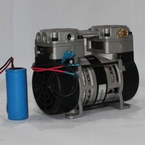 Wholesale 170W Food Air Compressor GSE Oilless Air Compressor Pump For Beverage Industry 220V 50Hz from china suppliers