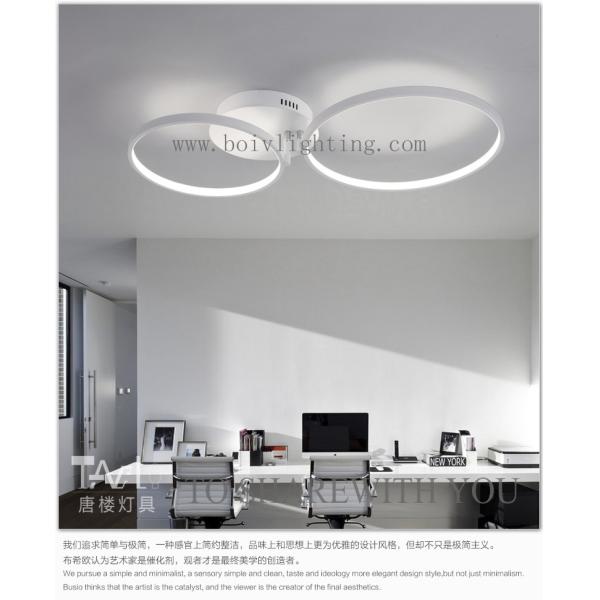 One LED Or Many LED Light Ceiling Lightings BV2057 WITE COLOR OR GRAY