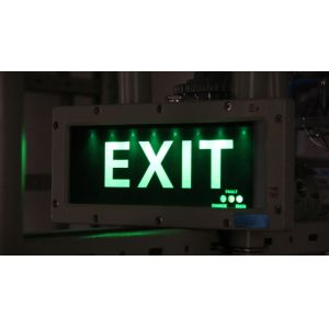 Customizable 3W Anti-Explosion Emergency Exit Sign LED Light Source for Chemical