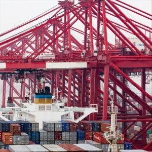 International Ocean Freight forwarding Services LCL FCL Agent From China to Peru