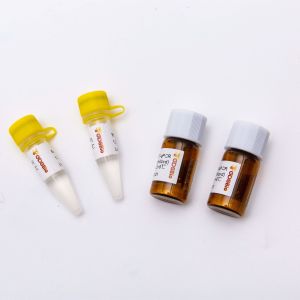 200rxn Lyophilized 2X One Step RT QPCR Master Mix V5007L