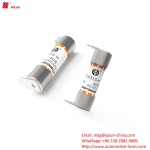 Wholesale EV315-H-3EB Boxed Electric Vehicle Fuse With Fuses from china suppliers
