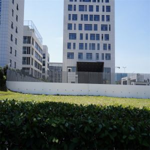 Black Balustrades Handrails Customized Home Garden Fencing