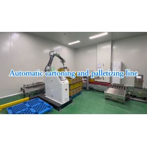 Automatic Packing Line Coffee Capsule Automatic Cartoning And Palletizing Line