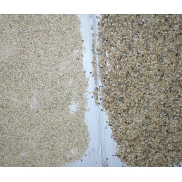 Wenyao 10 Chute Sesame Color Sorter Equipment Multifunction Grain Color Sorting Machine