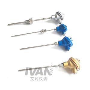 Customized Support OEM High Temperature Armored WZP Temperature Sensor for
