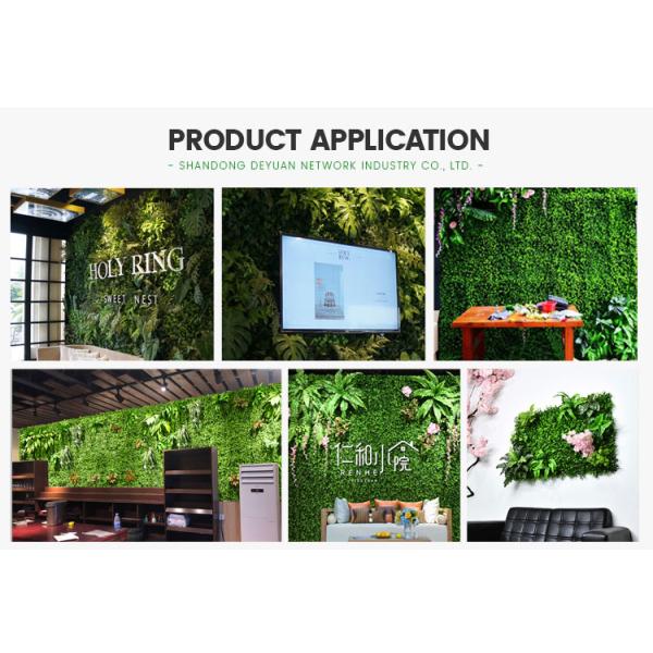 Low Price 40*60cm Artificial Lawn Leaf Grasses Plants Wall