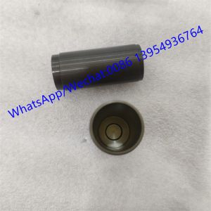 ZF PISTON 4644306377 , ZF gearbox parts for ZF transmission 4WG200/4wg180