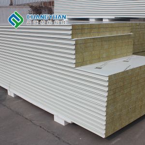 ODM Cleanroom Wall Panel Class A Fireproof Rating insulated wall panels