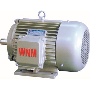 Variable Speed Explosion Proof Electrical Motor For Boosters
