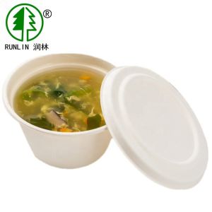 LFGB Pulp Molding Biodegradable Sugarcane Bagasse Bowl Heat Resistant Disposable