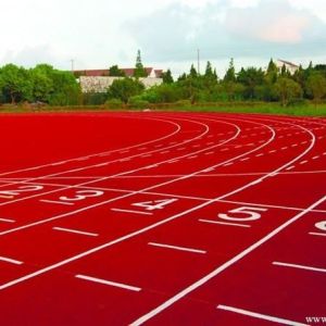 13mm Polyurethane Synthetic Athletic Track EPDM Color Particles