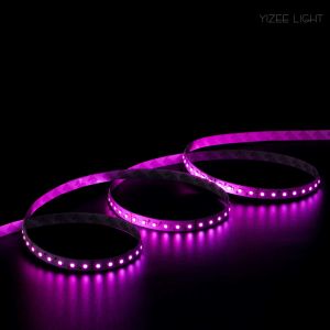 10mm 5m rGB Led Strip Lights 24V 60LEDs/M 14.4W LED Tape Colour Changing