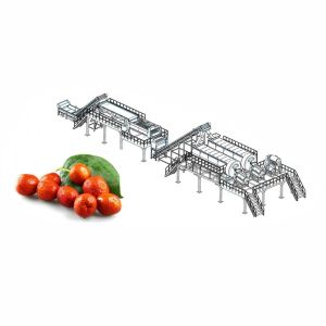 50T/H Jujube Hawthorn Processing Line Food Application