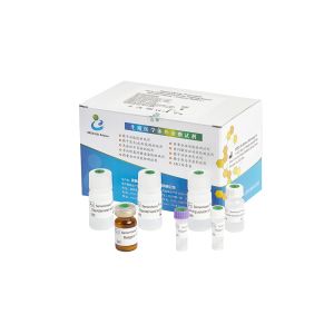 Human Seminal Fructose Test Kit / Fructose Assay Kit Enzymatic Method Test CE