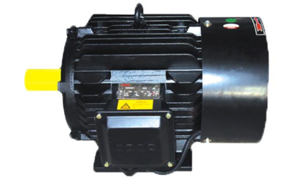 Quality Industral Three Phase Asynchronous Machine Speed Control Asynchronous for sale