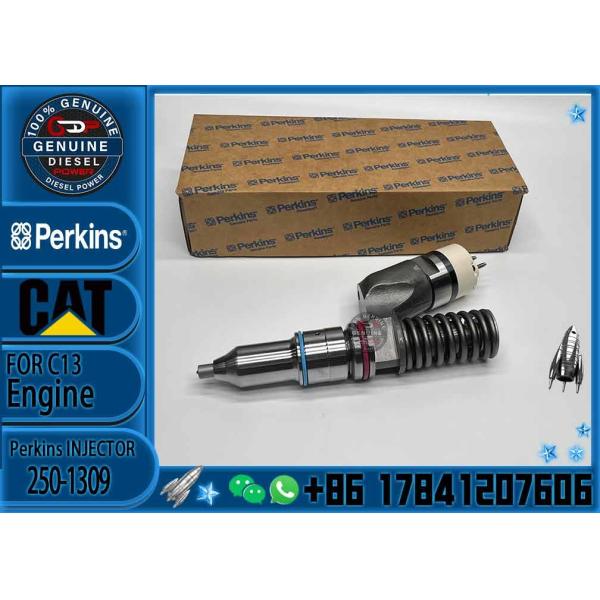 Diesel engine fuel injector 250-1309 excavator C11 C13 diesel engine spare parts 250-1309
