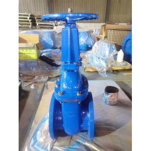 Wholesale ODM Cast Iron Floating DN150 Gate Valve for Waterline from china suppliers