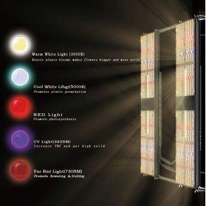480W SAMSUNG QB288 V3 LM301H Full Spectrum LED Grow Lights CETL