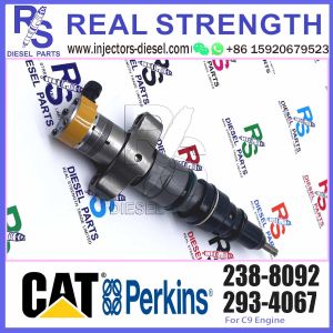 242-0857 Common Rail Diesel Injector 267-9722 235-5261 267-3360 238-8092 For Cat