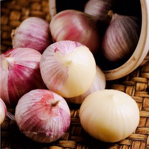 DDC Garlicin Animal Feed Additives Light Yellow To White Powder