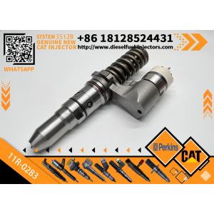 Common Rail Fuel Injector 245-8272 11R-0283 10R-8795 CAT 3512C Injector 245 8272