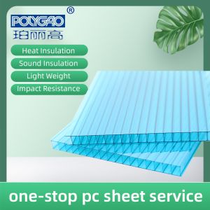 4mm 6mm 8mm 10mm Colored Clear Twin Wall Polycarbonate Sheet For Skylight