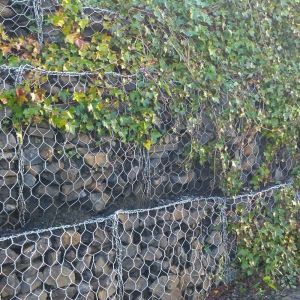 Wholesale Galvanized Iron Wire Stone Gabion Wall Cages Hexagonal Hole Shape 60x80 Mm 80X100mm 100x120mm from china suppliers
