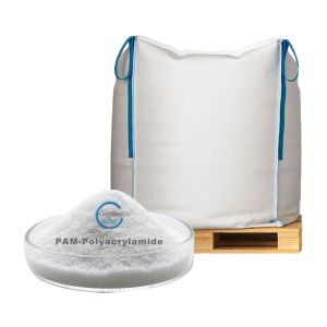 Anionic Polyacrylamide Powder PAM APAM Polymer Flocculant ISO9001