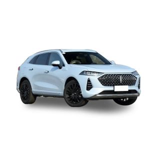 2023 Mid-size SUV WEY Coffee 01 new hybrid car High performance new hybrid