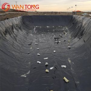 Fish Farm Pond Liner Geomembrane in Black and White HDPE for Environmental