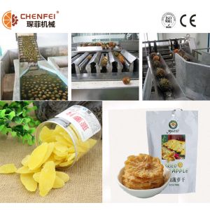 Full Automatic Dried Pineapple Processing Machinery Energy Saving Easy Operation