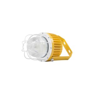 Compact LED Explosion-proof Light for Tight Spaces Low Profile Lightweight Shock