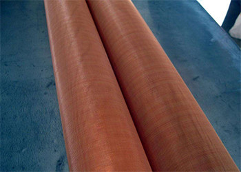 Quality Unique Fine Phosphor Bronze Mesh , Bronze Screen Mesh Plain Dutch Weave for sale