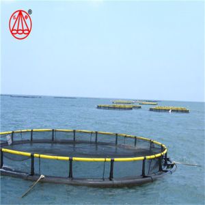 Recyclable Floating Fish Cage Environmentally Friendly Pontoon Easy Installing