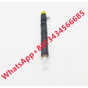 Ejbr04101d Fuel Injector Ejbr02101z 8200049876 166003978r Common Rail