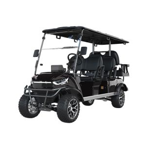 4 Wheel Electric Golf Cart for Golfing Sightseeing Car with Minimum Grand