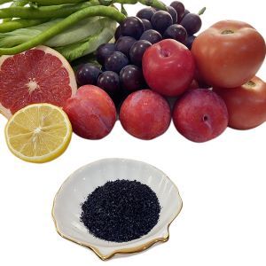 Leonardite-Derived Humic Acid Optimize Soil Structure And Nutrient Uptake