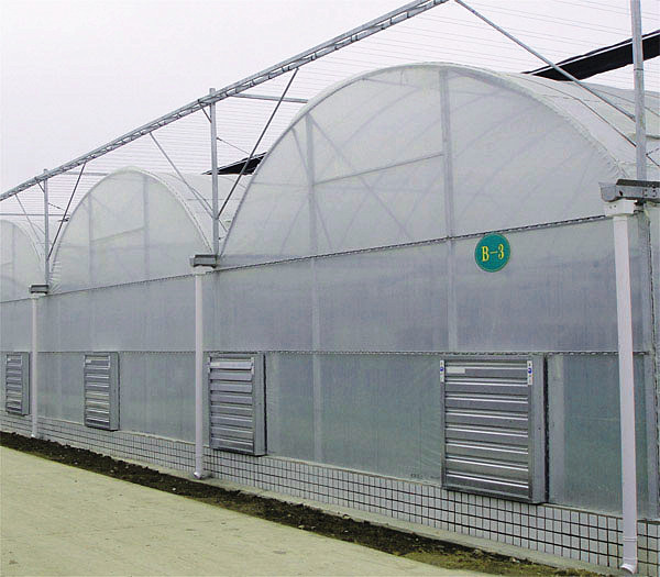 Section 1 / 2m Polyethylene Film Greenhouse Lower Temperature Reduce Humidity