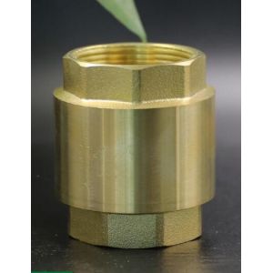 NPT 20 Bar Brass Vertical Spring Threaded Check Valve