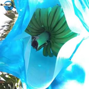 Perforated Polyethylene Banana Bunch Protection Bag