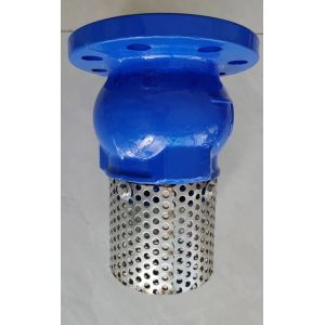 EPDM seal ductile iron flanged foot valve made in China