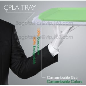 plastic tray, food tray, food container, Fast Food Tray biodegradable plastic 5