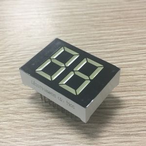 Common Cathode 20mm White Color 2 Digit 7 Segment LED Display for Digital Water
