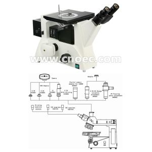 Binocular Metallurgical Optical Microscope