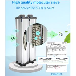 Dual Flow 10 Lpm Sgs Oxygen Concentrator 10 Liter