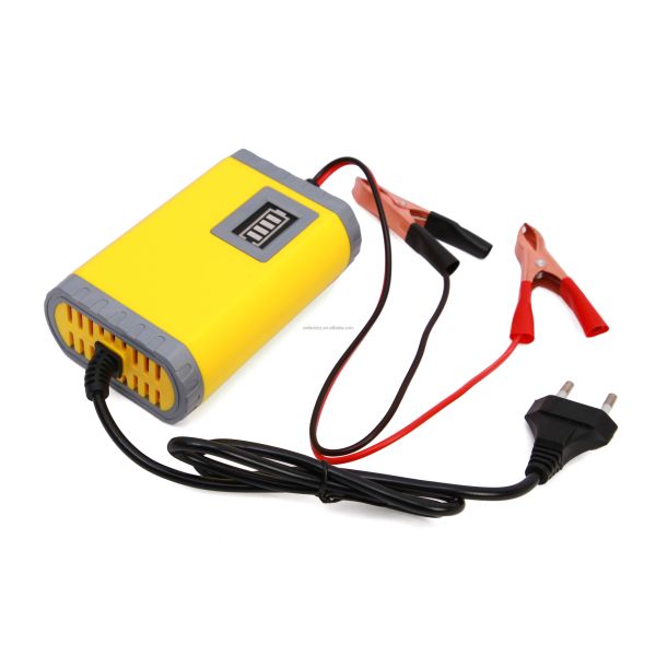 OEM 125W Output Power Smart Electric Motorcycle E Bike Scooter Car Intelligent Battery Charger 12V 24V 48V 72V 2A-20A