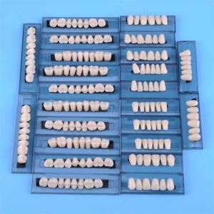 Wholesale Advanced Type Dental Artificial Denture Acrylic Resin Teeth Set from china suppliers